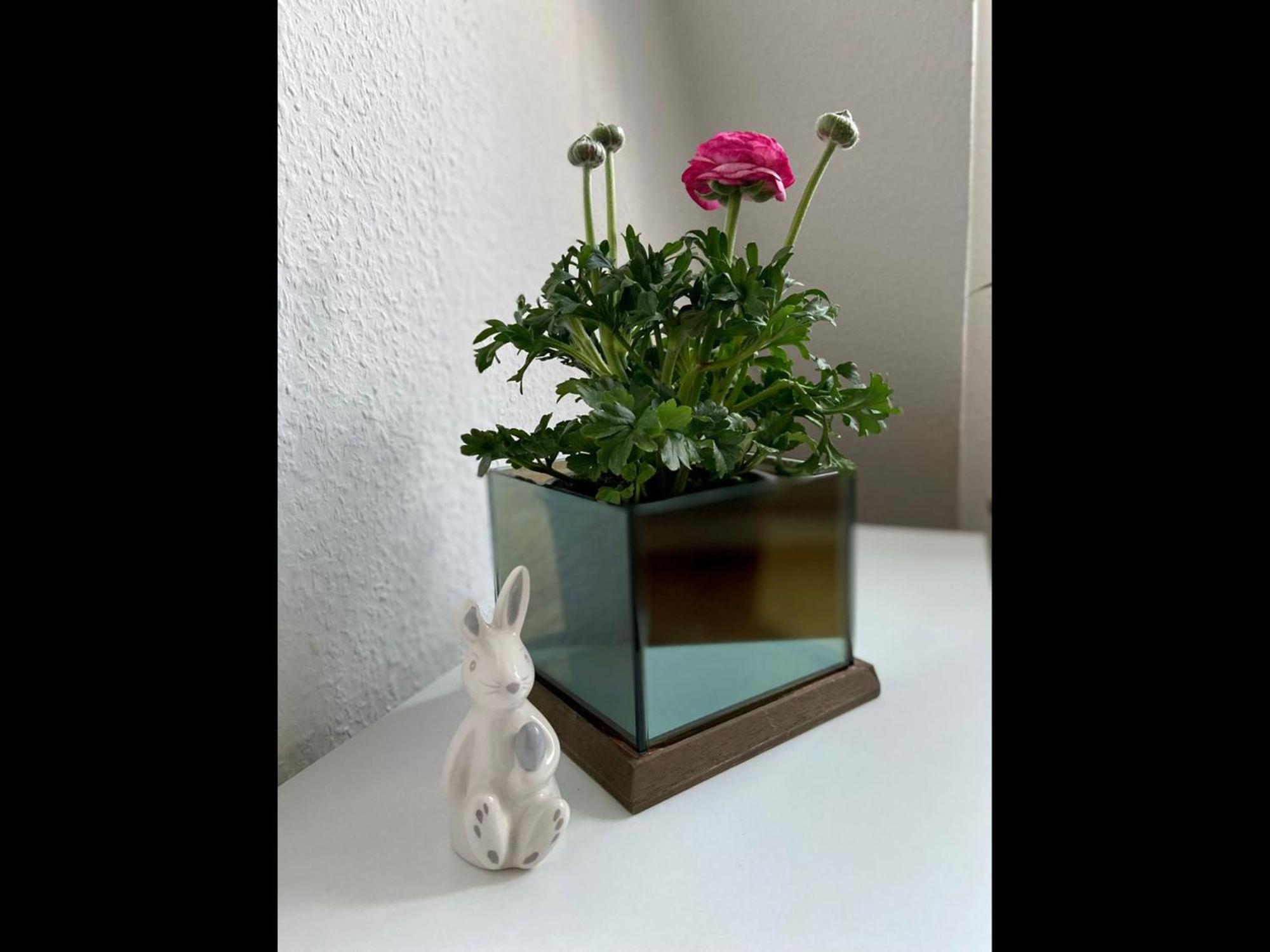 Neu Ferienwohnung 발스로드 외부 사진