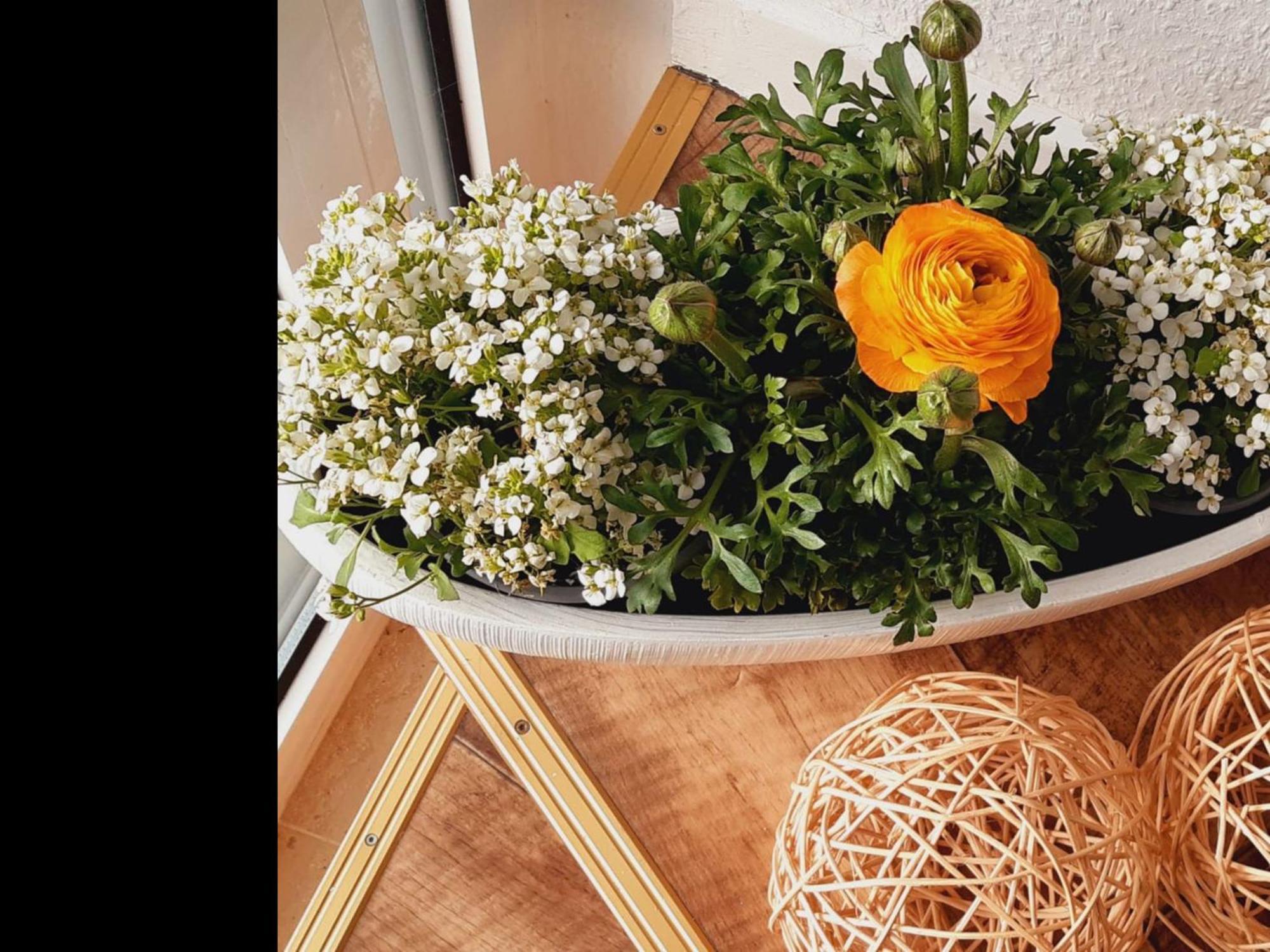 Neu Ferienwohnung 발스로드 외부 사진